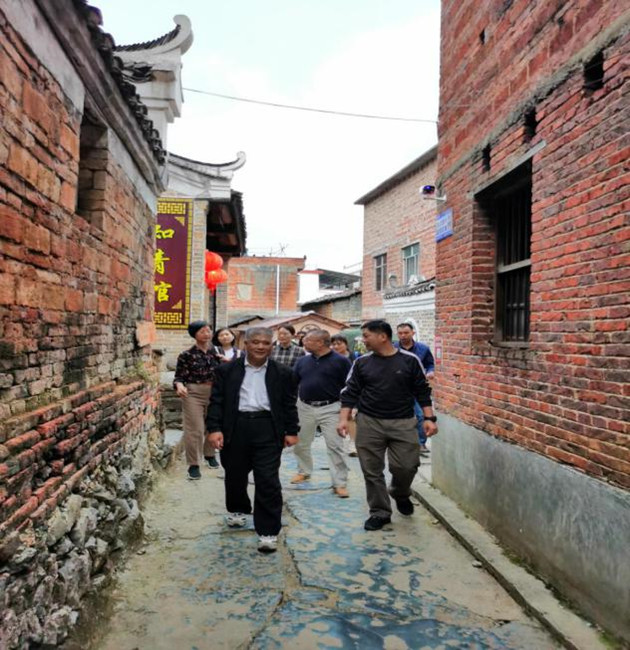 3调研组实地调研考察岔山村村容村貌建设情况_副本.jpg